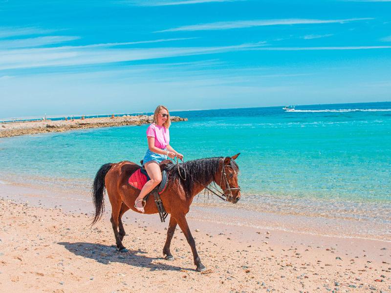 Mercure Hurghada Hotel - Aktivite