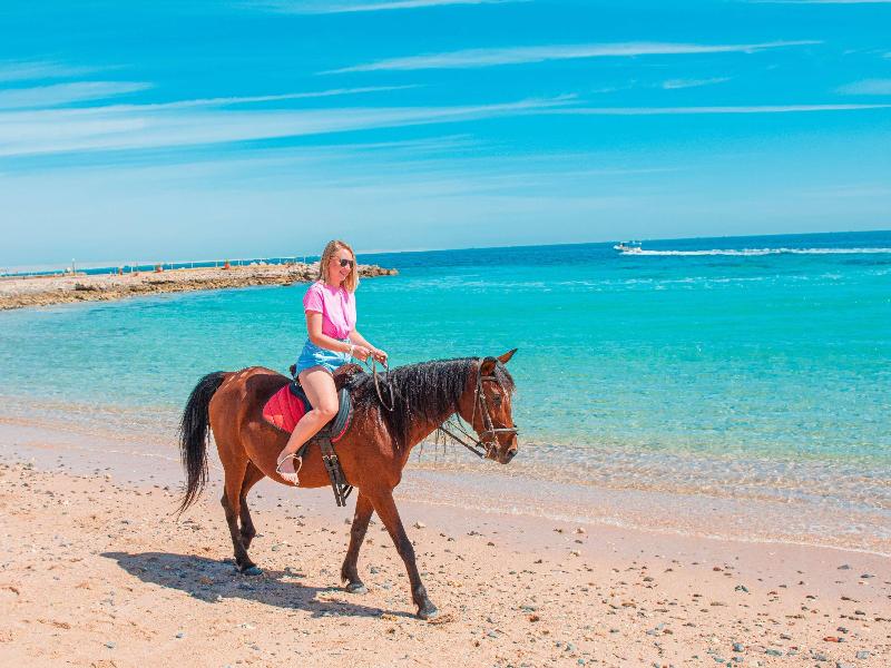 Mercure Hurghada Hotel - Genel