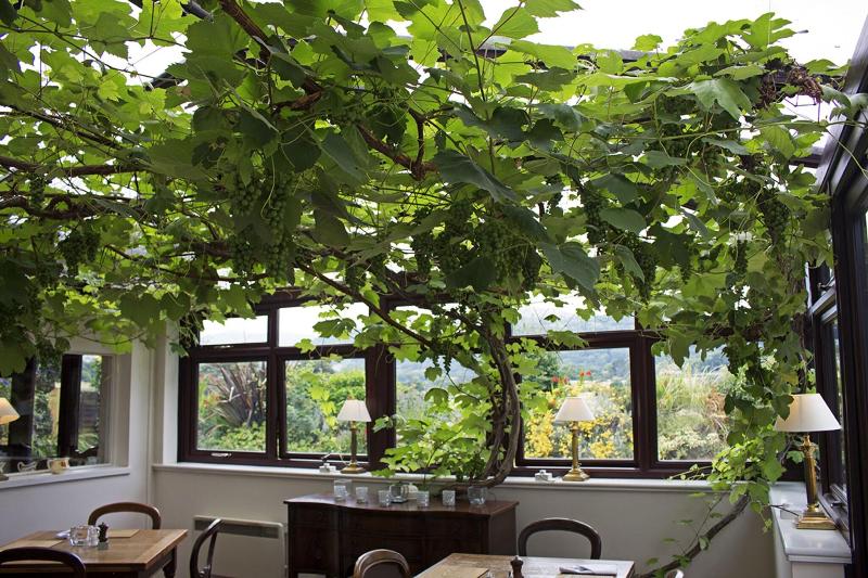 Groes Inn - Restoran
