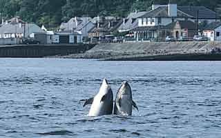 North Kessock Hotel fotoÄŸrafÄ±