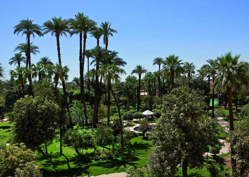 Sofitel Winter Palace Luxor - Genel