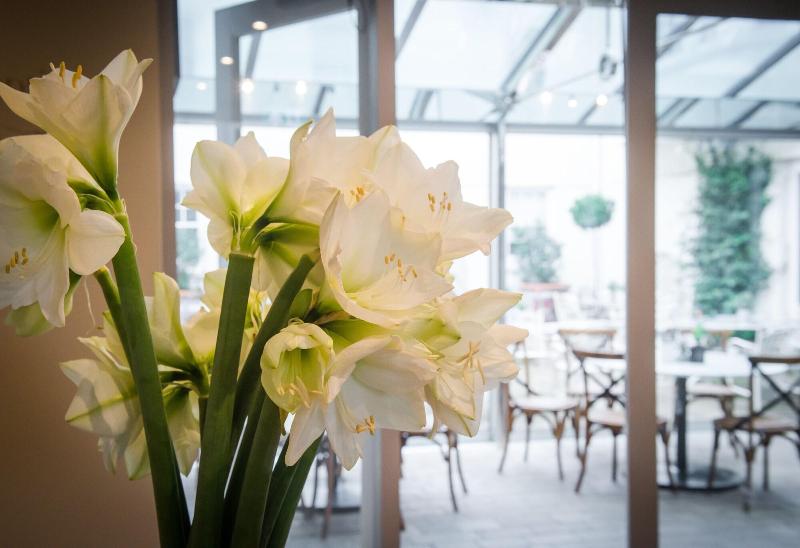 The Grosvenor Arms - Lobi
