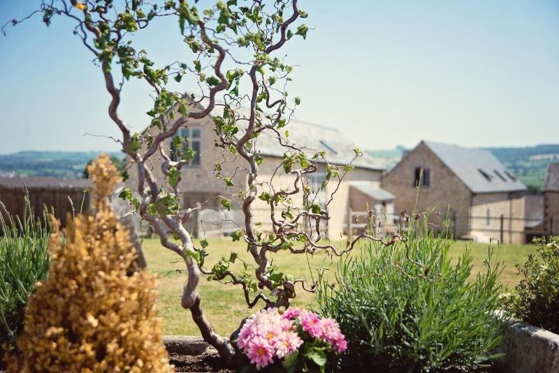 Cranberries Luxury Hideaway - Aktivite