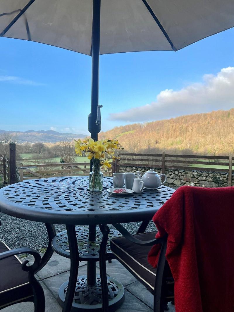Dolgun Uchaf Guesthouse - Teras