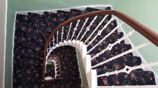 Blossom House fotoÄŸrafÄ±