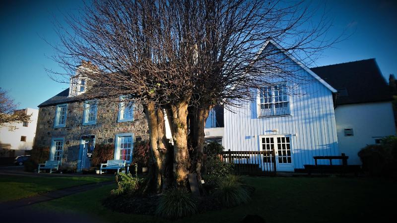 The Lime Tree - Genel