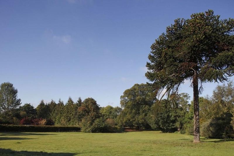 Woodland Grange - Genel