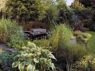 The Ayrlington fotoÄŸrafÄ±