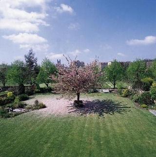 The Ayrlington fotoÄŸrafÄ±