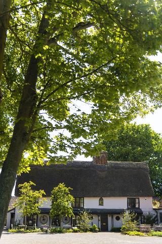 The Black Bull Inn Balsham fotoÄŸrafÄ±