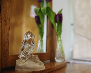 Sheriff Lodge fotoÄŸrafÄ±