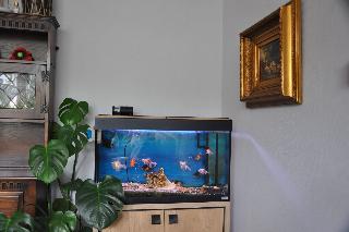 Peppers fotoÄŸrafÄ±