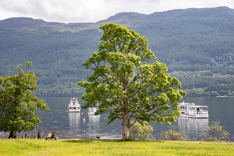 The Tarbet Hotel - Genel