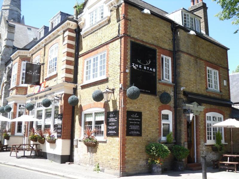 The Stag Enfield - Genel