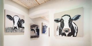 The Black Cow fotoÄŸrafÄ±