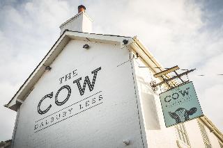 The Black Cow fotoÄŸrafÄ±