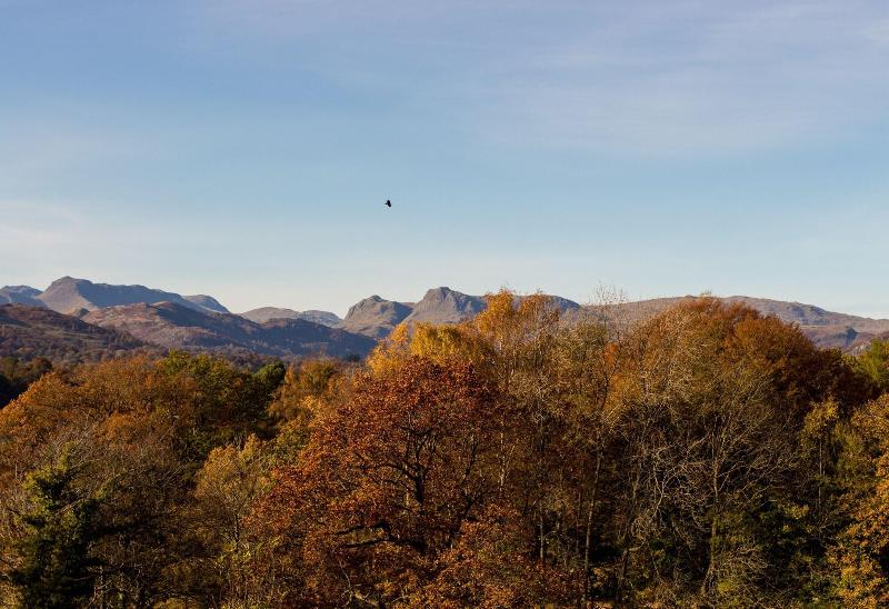 Cragwood Country House Hotel - Oda