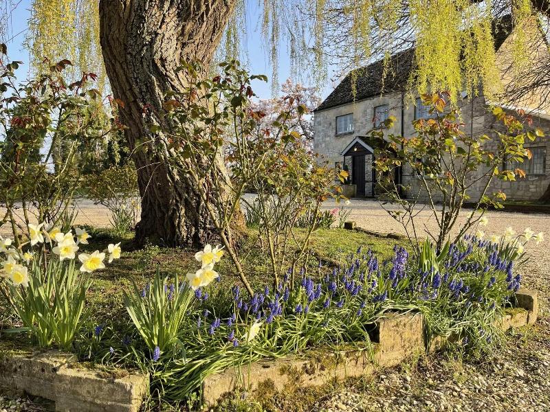 Hill Farm Bed and Breakfast - Genel