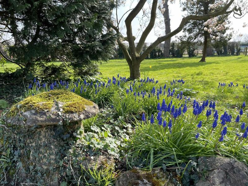 Hill Farm Bed and Breakfast - Genel
