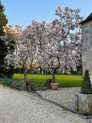 Hill Farm Bed and Breakfast fotoÄŸrafÄ±