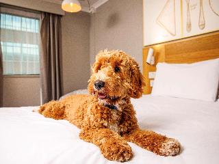 ibis Styles Birmingham Centre fotoÄŸrafÄ±