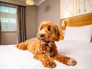 ibis Styles Birmingham Centre fotoÄŸrafÄ±