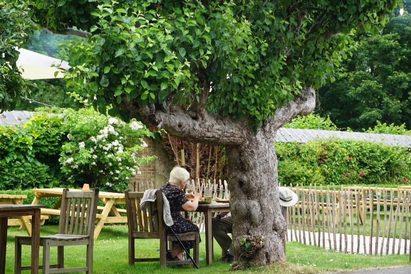 The Pembroke Arms - Teras