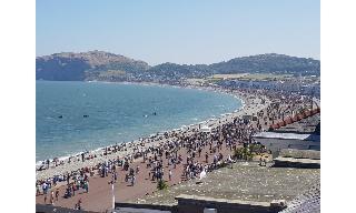 Baytree Hotel fotoÄŸrafÄ±