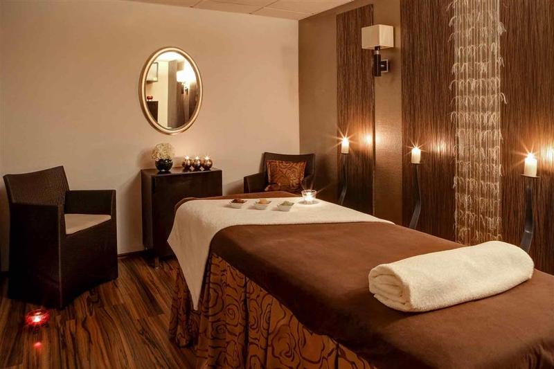 Sofitel Budapest Chain Bridge - Genel