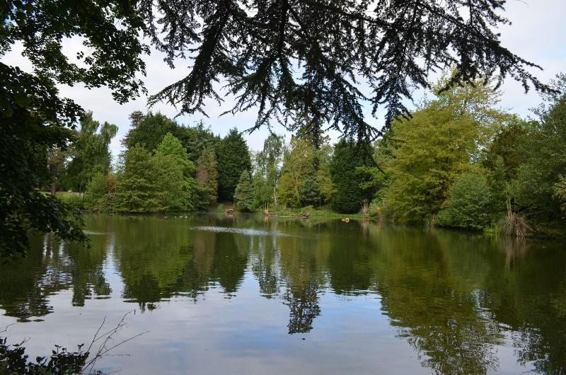 Worplesdon Place - a Bespoke Hotel - Genel