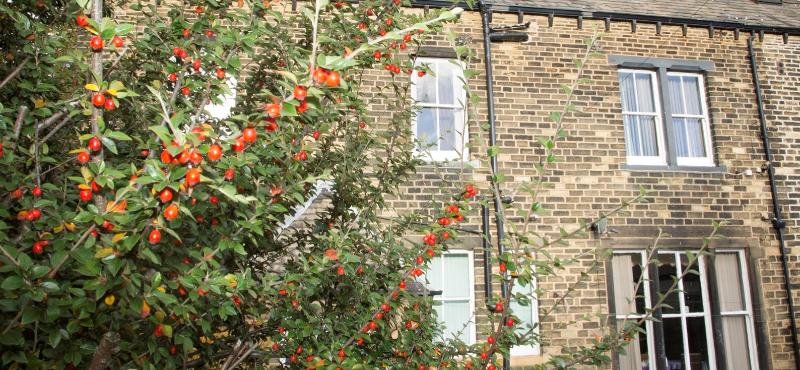 Ashfield hotel - Lobi