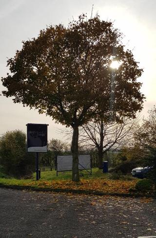 Redwings Lodge fotoÄŸrafÄ±