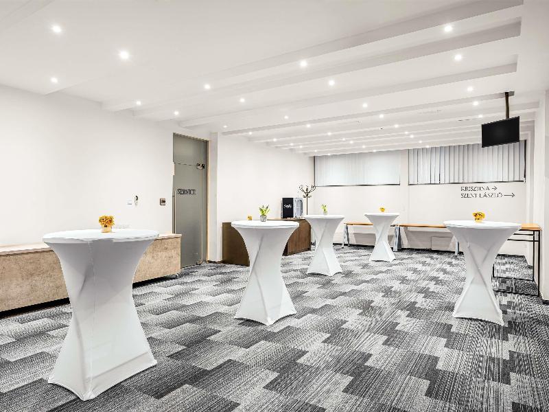 Mercure Budapest Castle Hill - Toplantı