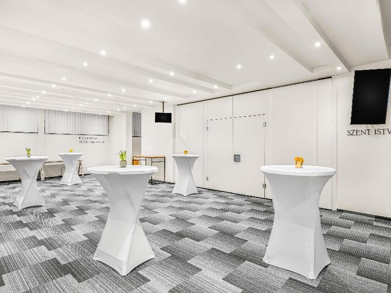 Mercure Budapest Castle Hill - Toplantı