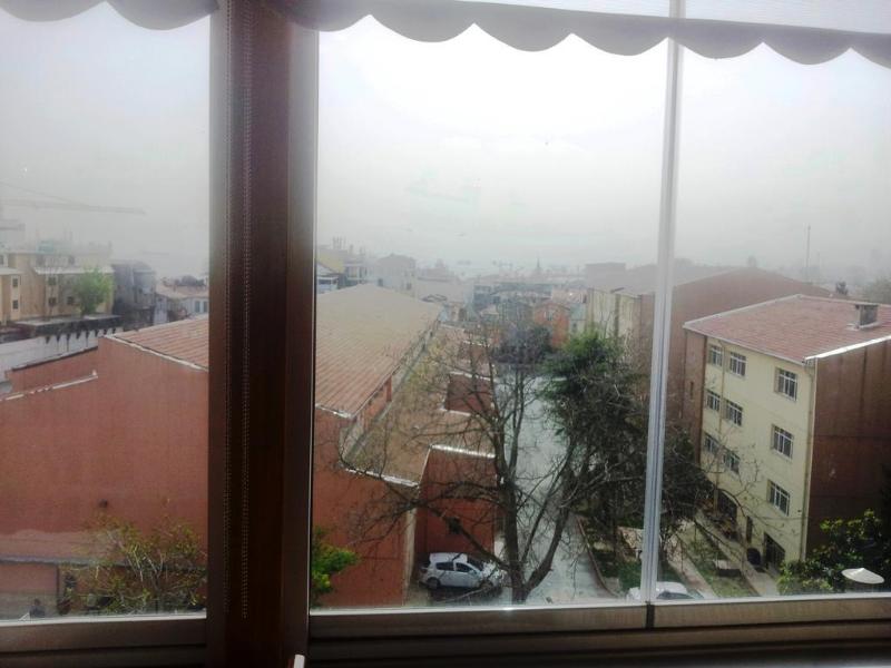 Dualis Hotel - Genel