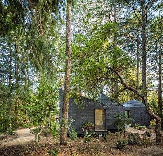Pedras Salgadas Nature & Spa Park fotoÄŸrafÄ±