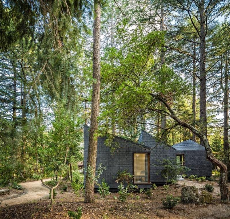 Pedras Salgadas Nature & Spa Park - Oda