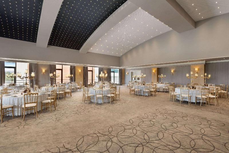 Ramada Plaza by Wyndham Eskisehir - Toplantı