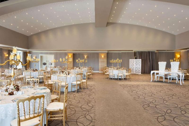 Ramada Plaza by Wyndham Eskisehir - Toplantı