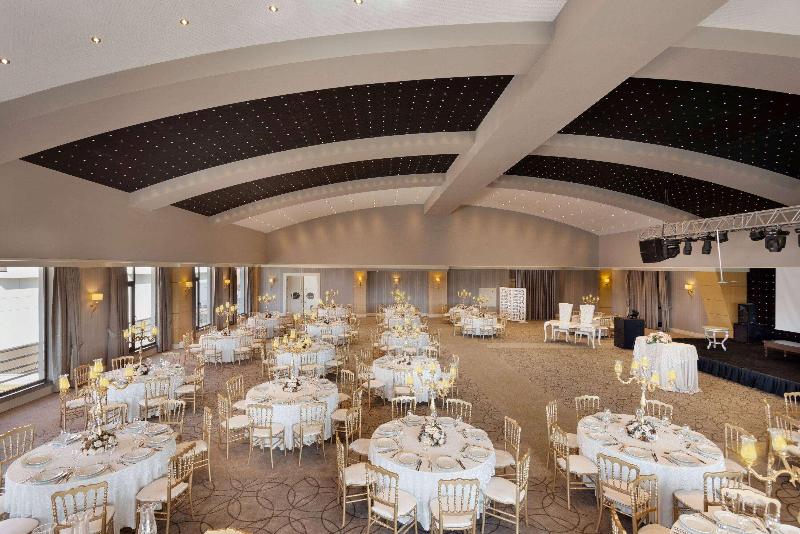 Ramada Plaza by Wyndham Eskisehir - Toplantı