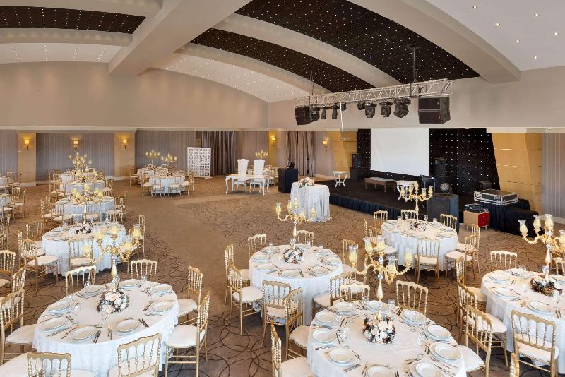 Ramada Plaza by Wyndham Eskisehir - Toplantı