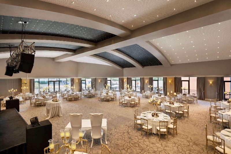 Ramada Plaza by Wyndham Eskisehir - Toplantı