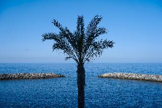 Saccharum Resort fotoÄŸrafÄ±