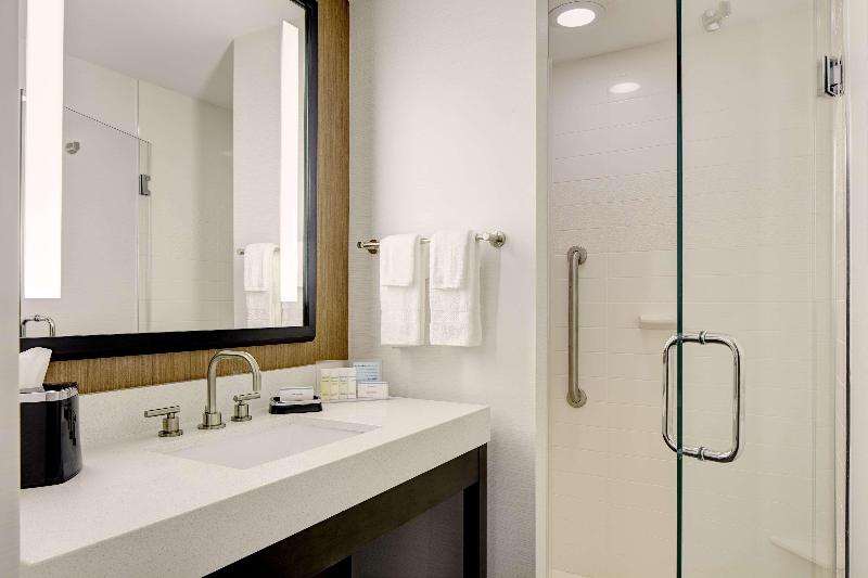 Hampton Inn Brooklyn/Downtown - Oda