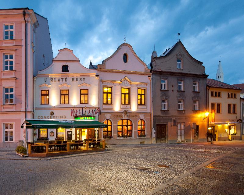 Hotel Concertino Zlata Husa - Genel