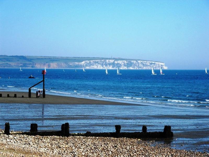 Luccombe Hall Country House Hotel - Genel