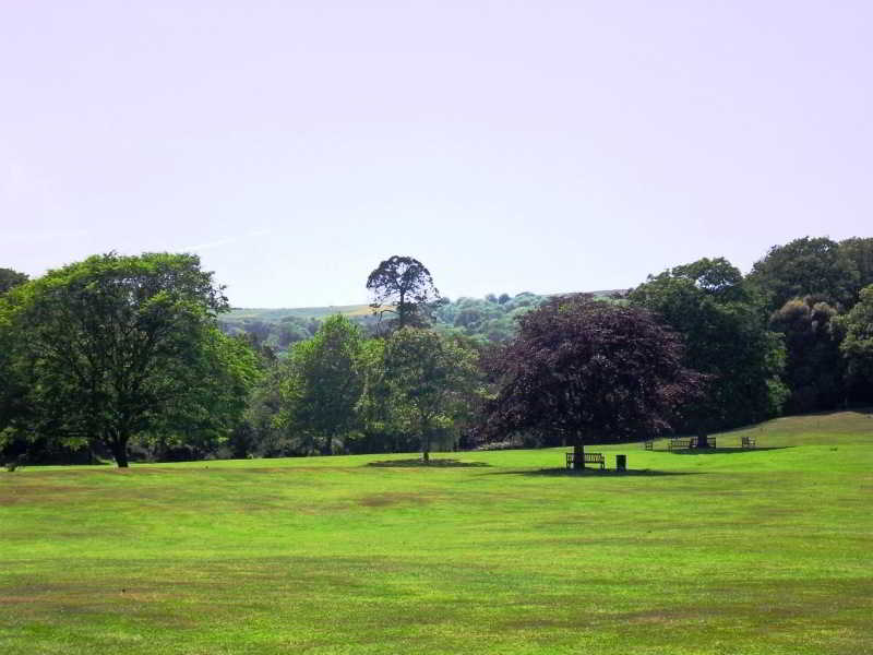 Luccombe Hall Country House Hotel fotoÄŸrafÄ±