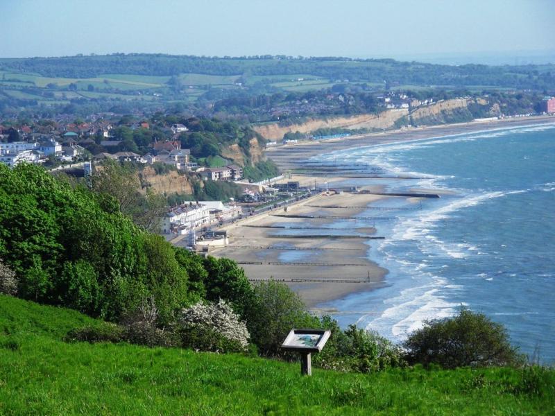 Luccombe Hall Country House Hotel - Genel