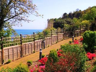 Luccombe Hall Country House Hotel fotoÄŸrafÄ±