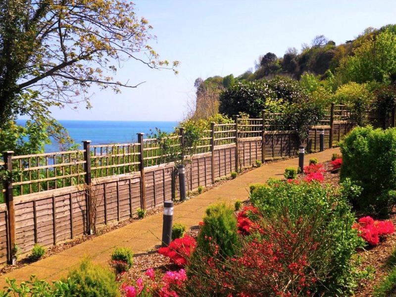 Luccombe Hall Country House Hotel - Teras